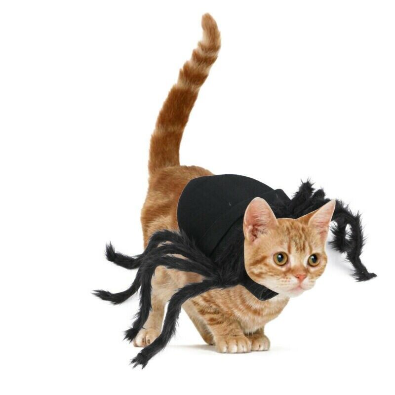 Halloween Pet Black Spider Costume Dog Cat Puppy Spider Cosplay Clothes Outfit