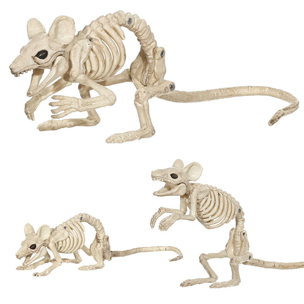 Halloween Skeleton Cat Dog Mouse Bat Prop Animal Bones Party Horror Decoration