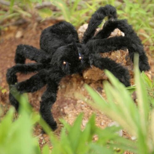 Halloween Large Black Spider Scary Haunted House Prop Party Decor Outdoor Indoor