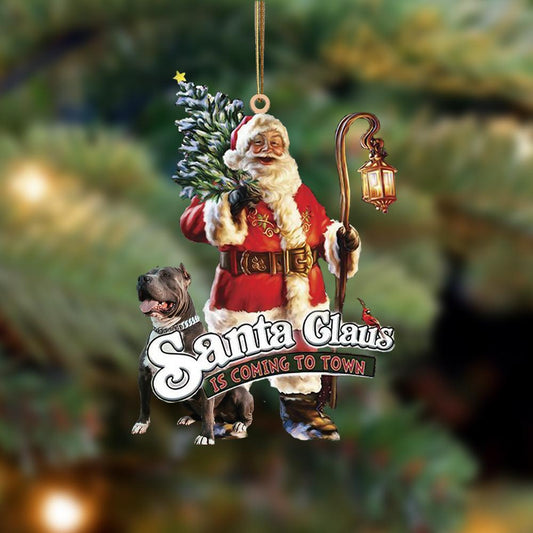 Santa Is Coming To Town With Pitbull-Two Sided Ornament - Best gifts your whole family