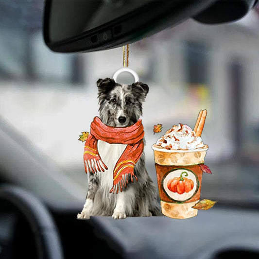 Shetland Sheepdog 1-Pumpkin Spice Kinda-Two Sided Ornament - Best gifts your whole family