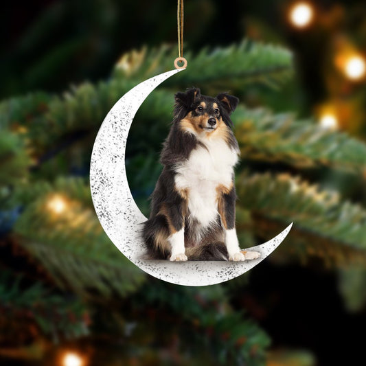 Shetland Sheepdog 2-Sit On The Moon-Two Sided Ornament - Best gifts your whole family