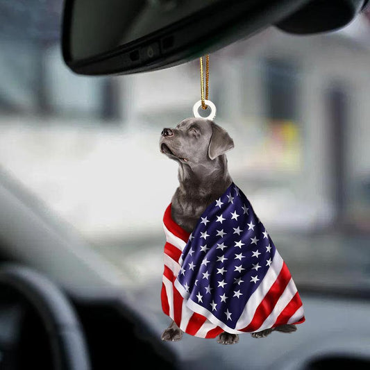 Silver Labrador Retriever American Patriot Flag Two Sided Ornament - Best gifts your whole family
