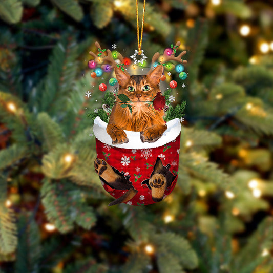Somali Cat In Snow Pocket Christmas Ornament - Best gifts your whole family