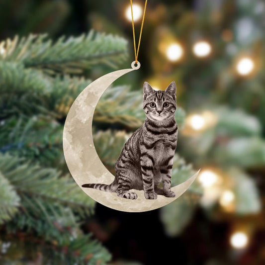 Tabby Cat Sits On The Moon Hanging Ornament Cat Christmas Acrylic Ornament - Best gifts your whole family